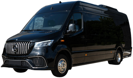 Sprinter VIP